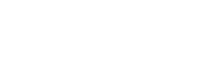 digital experts logo footer3